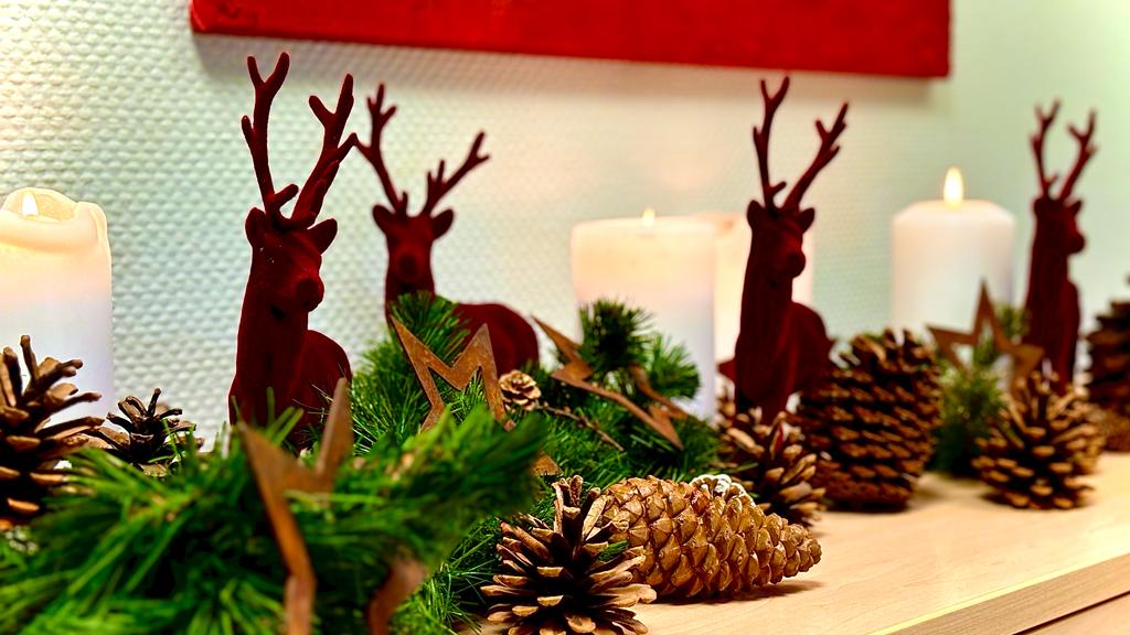 FROHE WEIHNACHTEN UND EIN GESUNDES JAHR 2024!