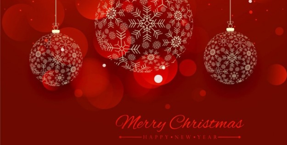 FROHE WEIHNACHTEN UND EIN GESUNDES JAHR 2022!